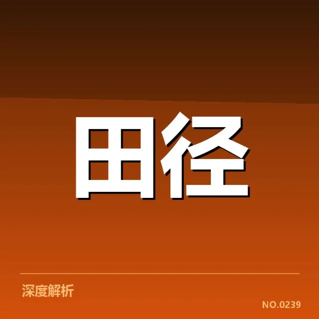 参赛选手与赛程安排的确认情况